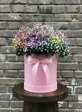 Цветочная композиция из Гипсофила и Розы в шляпной коробке #REPLACE_PRED# Староникольское 