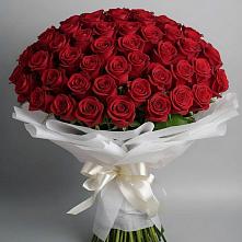 Букет 101 Красная роза Блэк Мэджик в Староникольское 