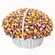 Премиум букет из: Розы в Староникольское 