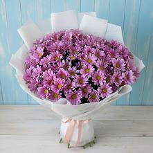 Букет цветов из:  Хризантемы в Староникольское 