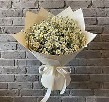 Букет цветов из:  Ромашки в Староникольское 