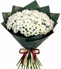 Букет цветов из:  Хризантемы #REPLACE_PRED# Староникольское 