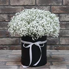 Цветочная композиция из Гипсофила в шляпной коробке в Староникольское 