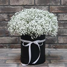 Цветочная композиция из Гипсофила в шляпной коробке в Староникольское 