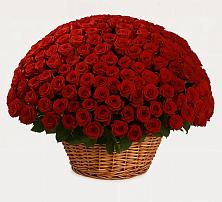 Премиум букет из: Розы #REPLACE_PRED# Староникольское 