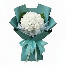 Букет цветов из:  Гортензия в Староникольское 
